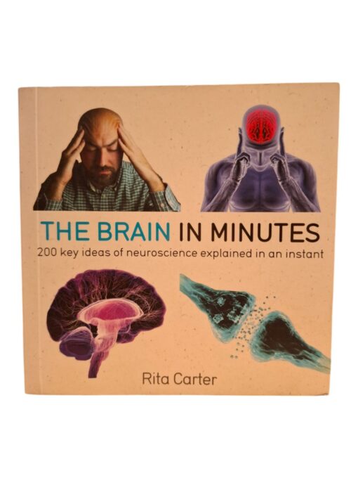 Rita Carter "The brain in minutes"