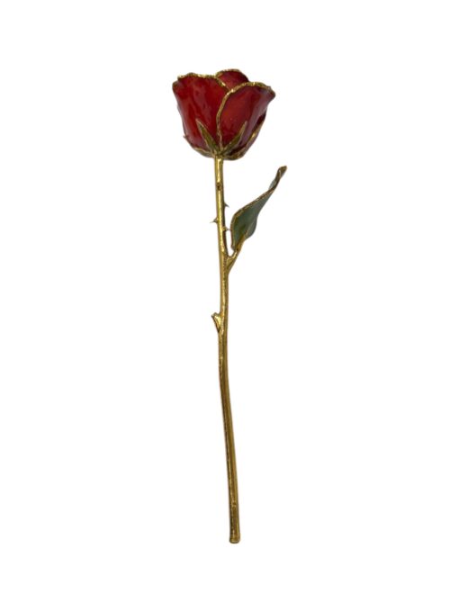 Forever Rose 24K kuld punane roos