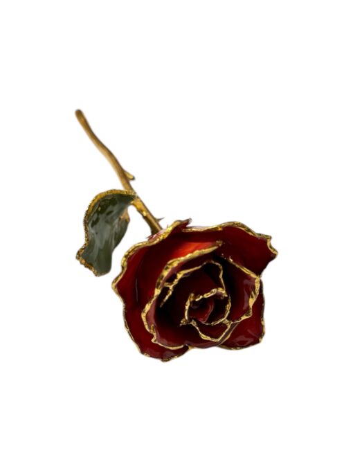 Forever Rose 24K kuld punane roos - Image 2