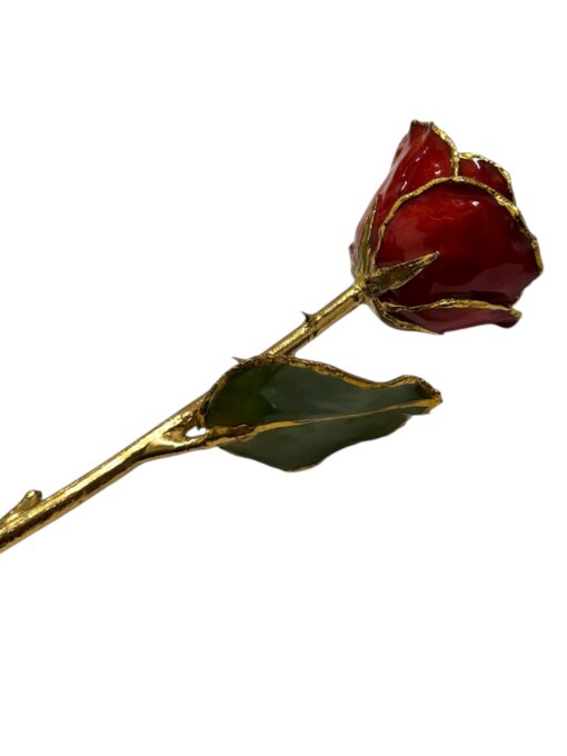 Forever Rose 24K kuld punane roos - Image 3