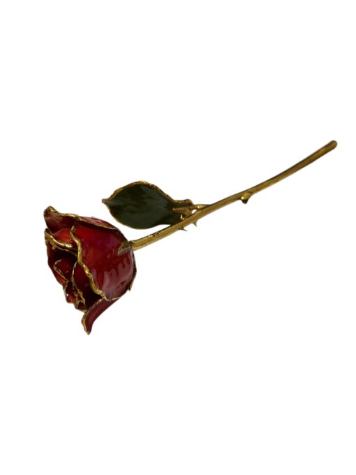 Forever Rose 24K kuld punane roos - Image 4