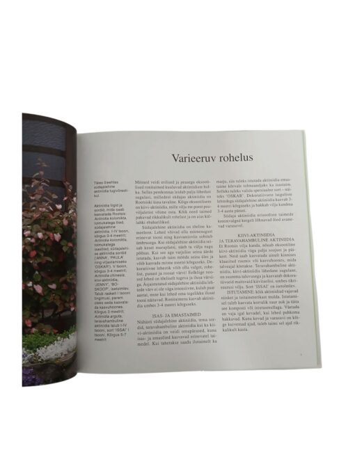 "Ronitaimed kõikjal aias" Inger Palmstierna - Image 3