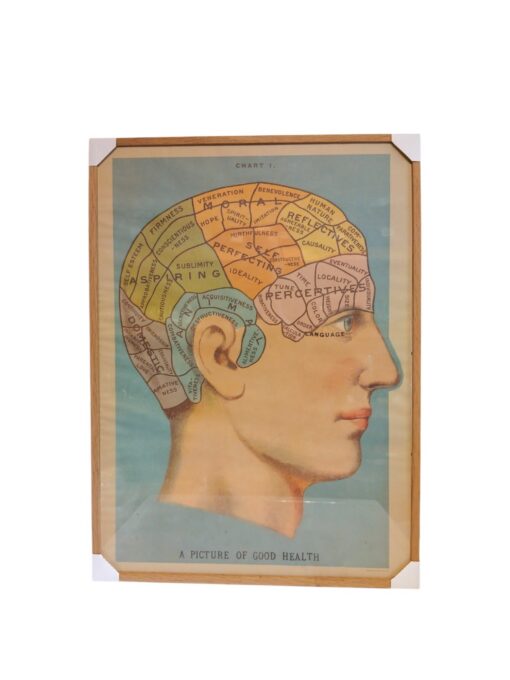 "A picture of good health" poster