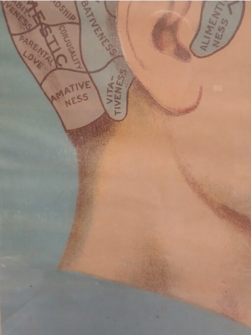 "A picture of good health" poster - Image 2
