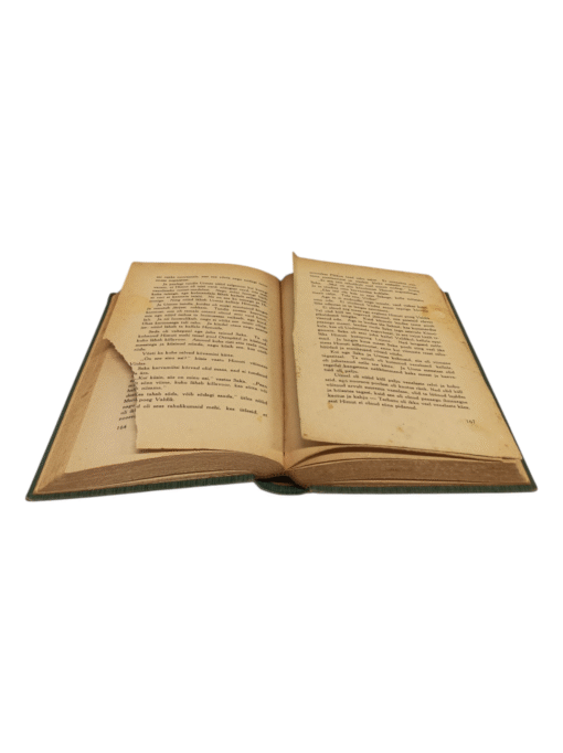 ``Urmas ja Merike  II``  K.A.Hindrey 1936 Taska - Image 4