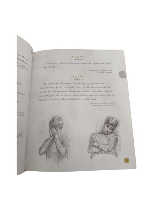 "Harry Potteri maagiline aasta. Lummav hetk igaks päevaks J.K. Rowlingu Harry Potteri romaanidest" - Image 3