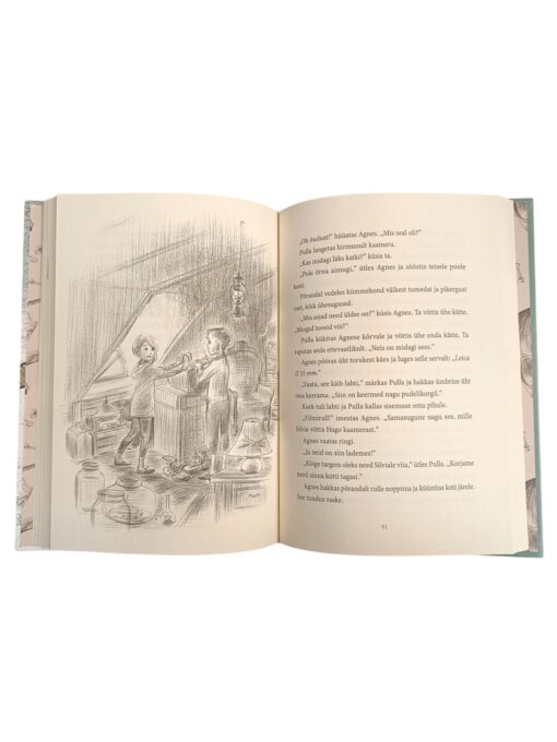 "Agnes ja vari aknal" Tuutikki Tolonen - Image 2