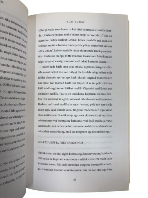 "Uus maailm" Eckhart Tolle - Image 2