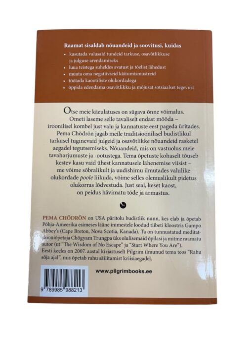 "Kui kõik variseb kokku" Pema Chördön - Image 3