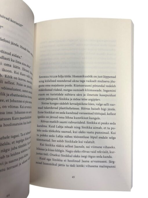 "Ääremaa" Terhi Konnonen - Image 2