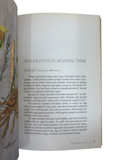 "Minu tee taimede väeni" Mercedes Merimaa - Image 2