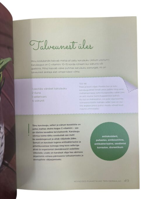 "Kõik mahlaks" Anneli Kõiv - Image 2