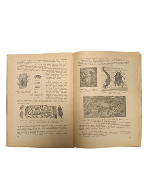 "Zooloogia IX klassile" J. Piiper - Image 2