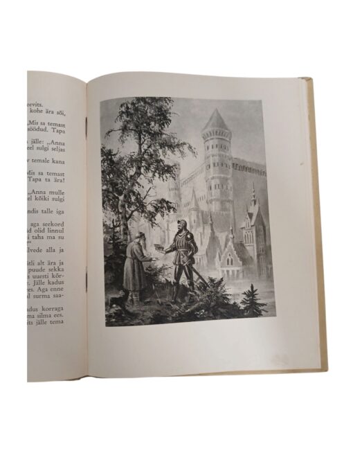 "Imelik peegel" J. Kunder - Image 6