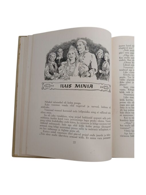 "Imelik peegel" J. Kunder - Image 5