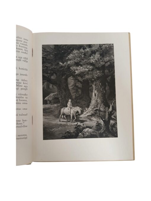 "Imelik peegel" J. Kunder - Image 4