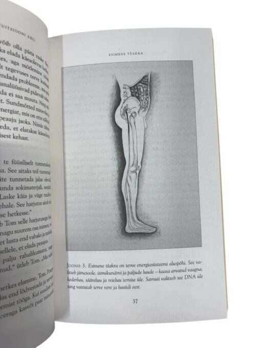 "Enesetervendamine intuitsiooni abil" Marie Manuchehri - Image 2