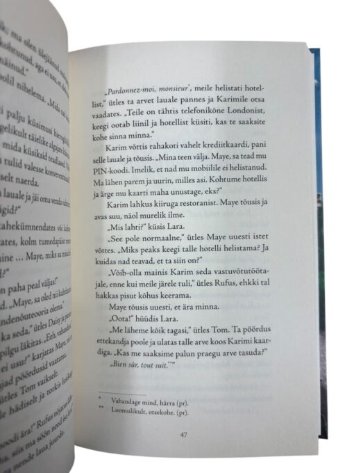 "Seiklejad ja tagaajamine Euroopas" Jemma Hatt - Image 2