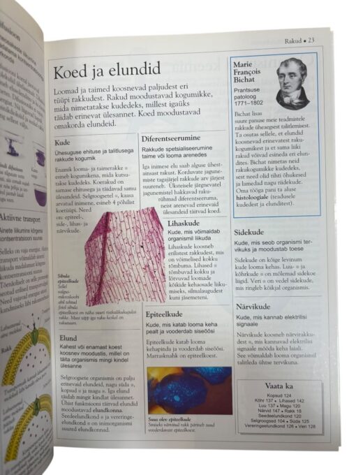 "Loodus, 2000 loodusalast mõistet" DK Lühientsüklopeedia - Image 2