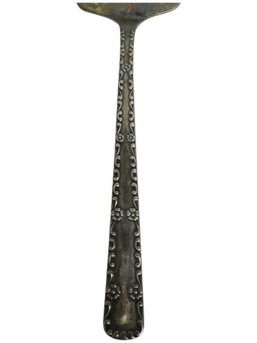 Melchior tordilabidas - Image 3