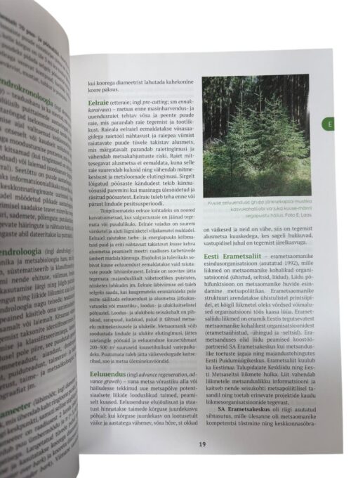 "Metsandusteatmik" E. Laas, V. Uri - Image 2