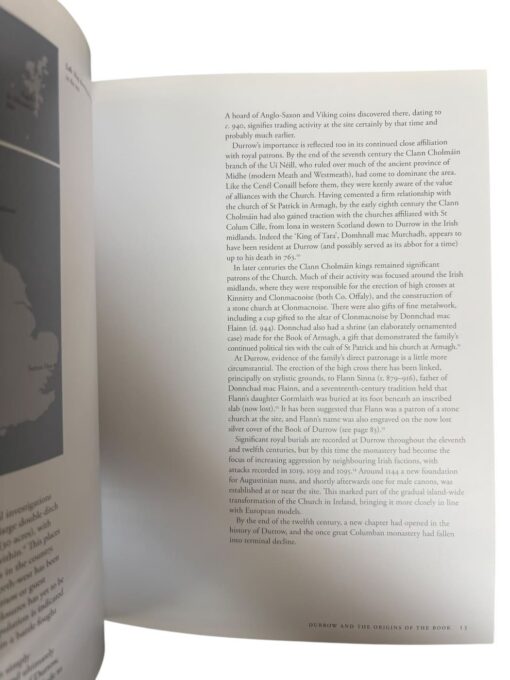 "The book of durrow" Rachel Moss - Image 2
