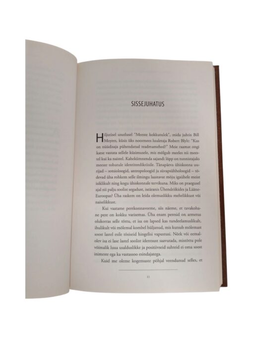 "Kuningas, Sõjamees, Maag, Armastaja. Teekond mehelikkuse lätetele" Douglas Gillette/Robert Moore - Image 3