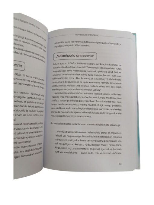"Mis on depressioon ja kuidas sellega toime tulla" Dr Keith Souter - Image 3