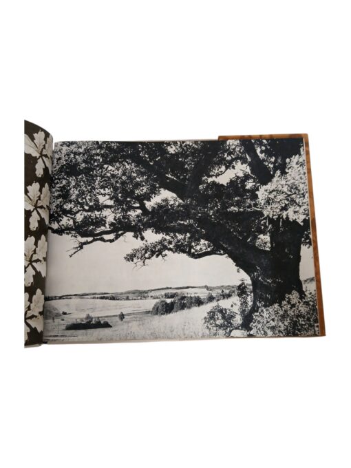 "Laulusajand 1869-1969", koostanud Aarne Mesikäpp, Valdo Pant, Aron Tamarkin - Image 4
