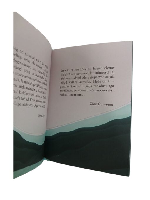 "Soovin Sulle head", koostaja Rain Siemer - Image 5