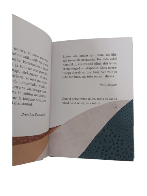 "Soovin Sulle head", koostaja Rain Siemer - Image 4