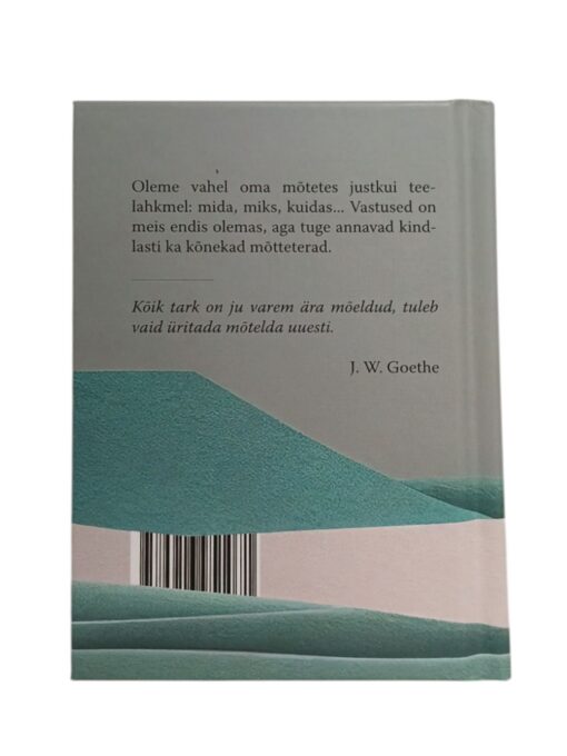 "Soovin Sulle head", koostaja Rain Siemer - Image 2