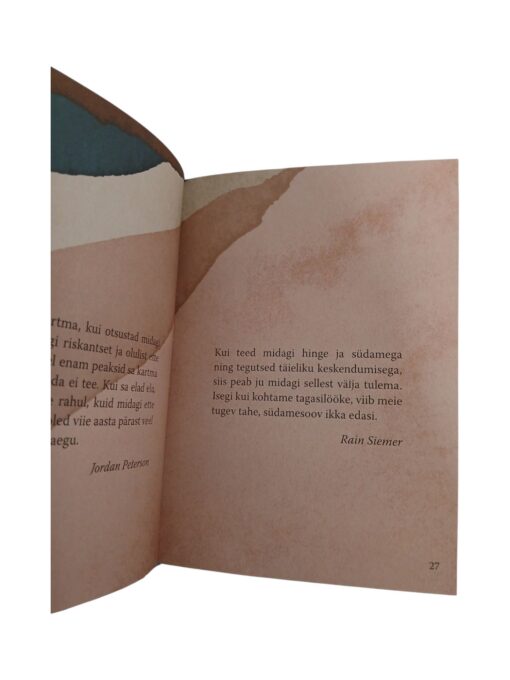 "Soovin Sulle edu", koostaja Rain Siemer - Image 3