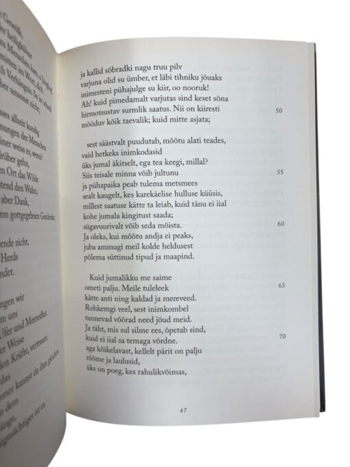 "Kus aga oht on, seal kasvab ka rohi ta vastu" Friederich Höldelin - Image 2