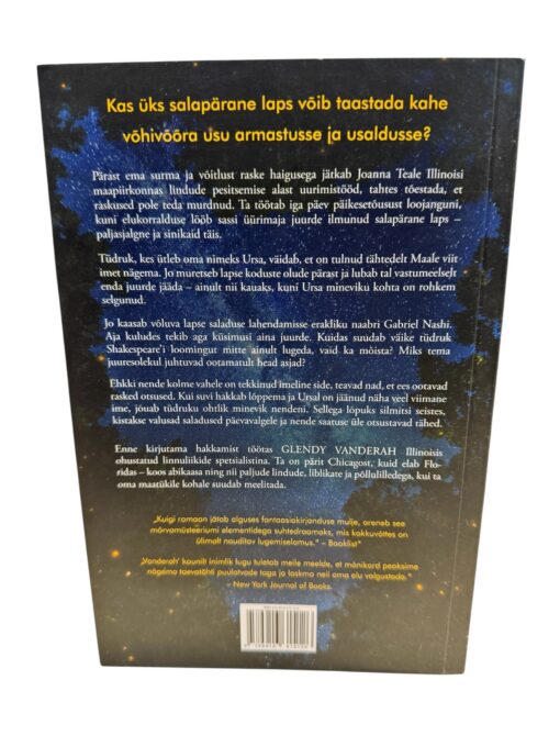 "Kus mets kohtub tähtedega" Glendy Vanderah - Image 2