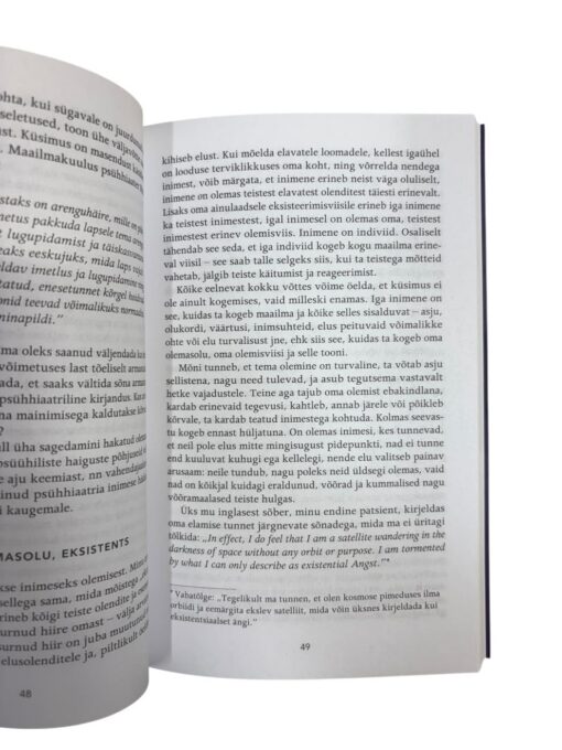 "Lapsepõlve mõjud" Martti Paloheimo - Image 2