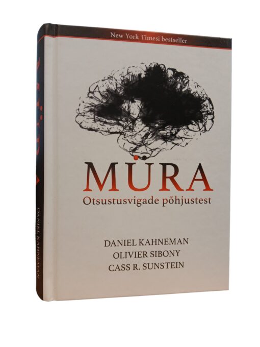 "Müra. Otsustusvigade põhjustest"