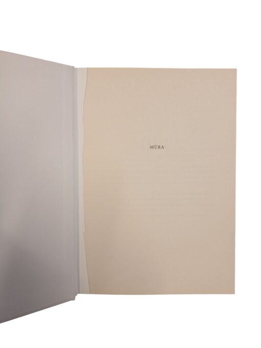 "Müra. Otsustusvigade põhjustest" - Image 3