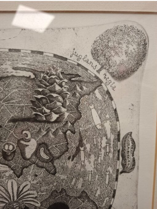 Birute Zokaityte graafika "The map of nuts" 2014 - Image 2