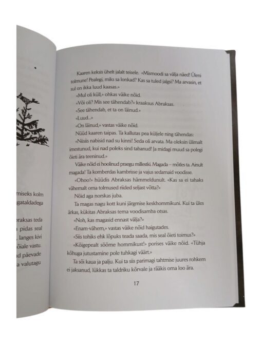 "Väike nõid" Otfried Preussler - Image 4