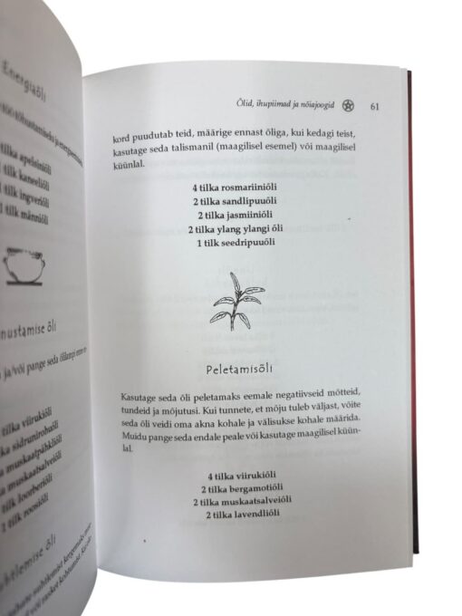 "Tõeline nõiaköök" Kate West - Image 2