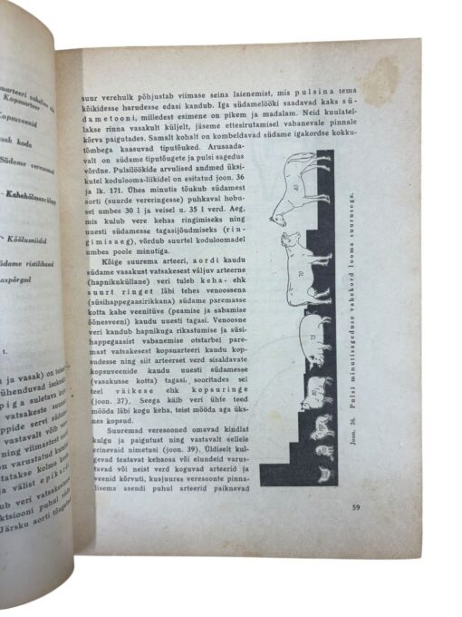 "Põllumehe loomatervishoiu käsiraamat" J. Kaarde, R. Säre - Image 2
