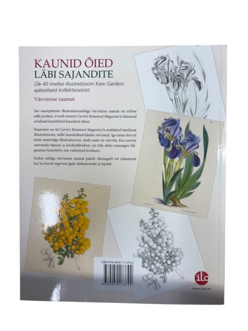 Värvimise raamat "Kaunid õided läbi sajandite" - Image 3