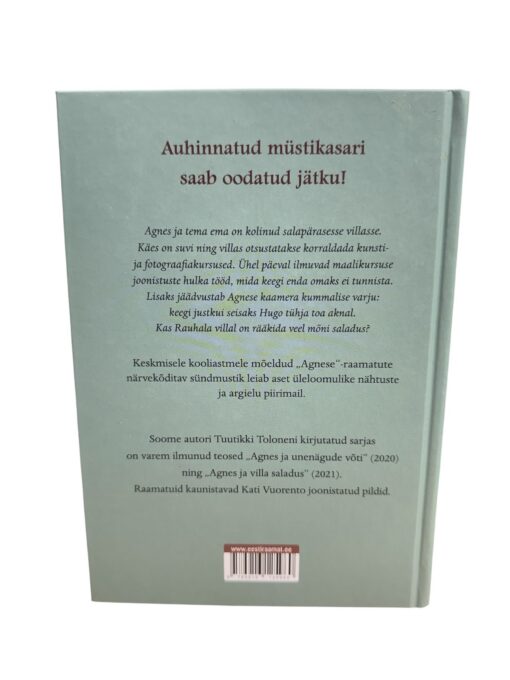 "Agnes ja vari aknal" Reet Trummal - Image 2