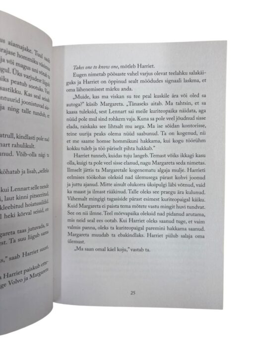 "Pealtnägija" Anna Bagstam - Image 2
