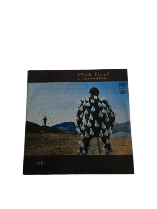 Pink Floyd "Delicate Sound Of Thunder 2 LP" vinüül