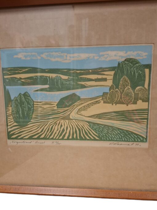 Rein Raamat linool 1971 - Image 2