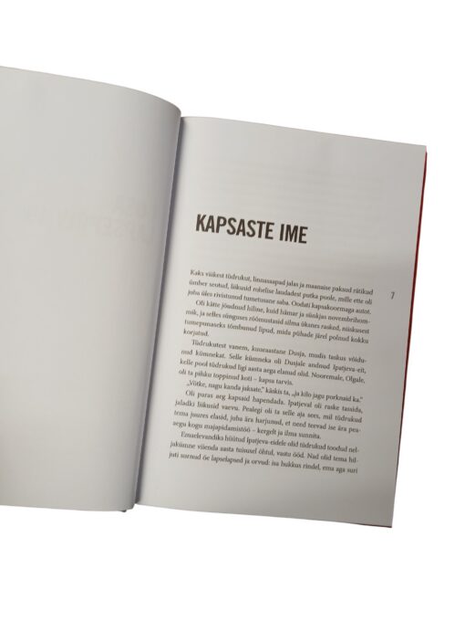 "Võõrad lapsed" Ljudmila Ulitskaja - Image 3