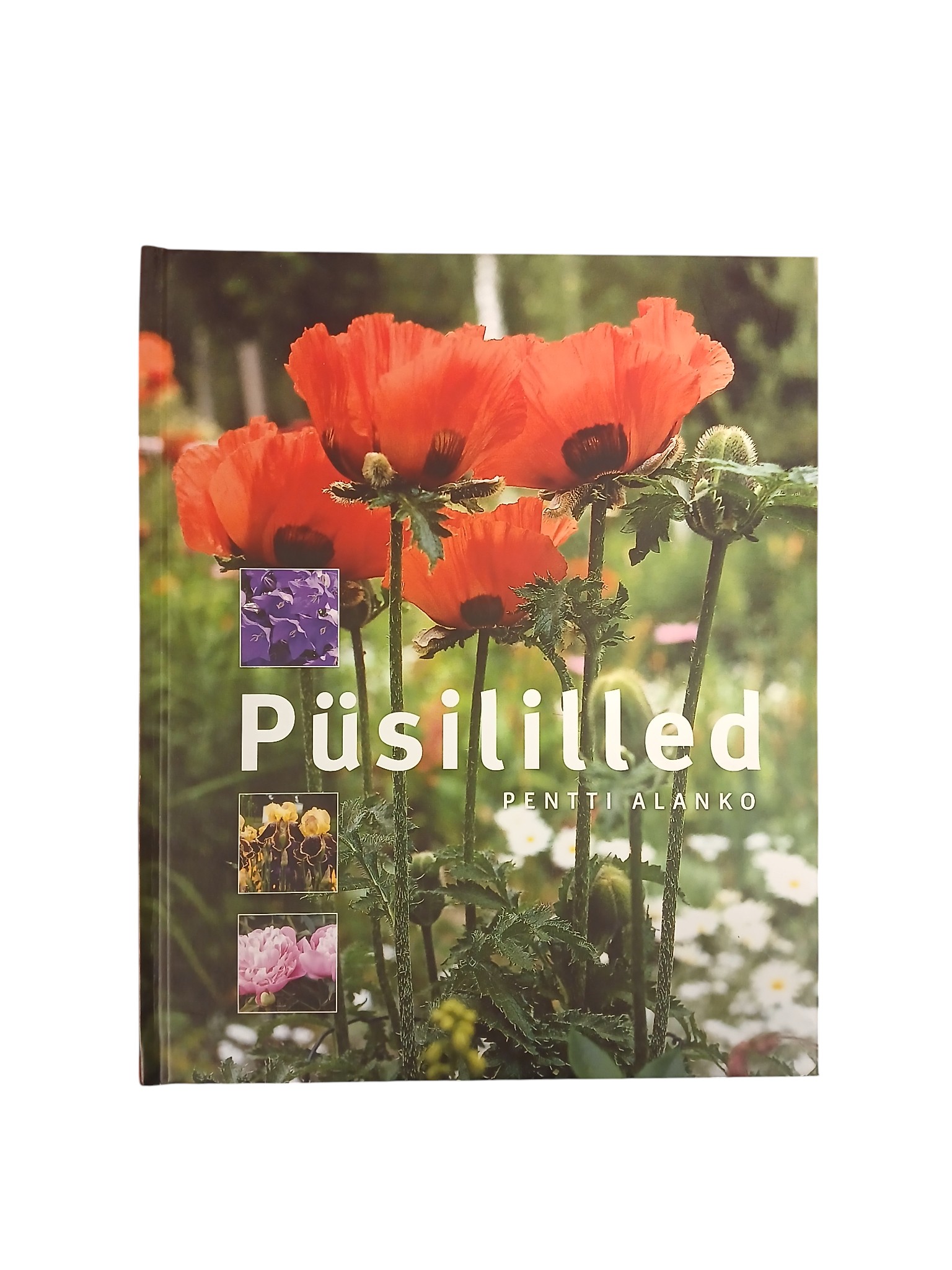 "Püsililled" Pentti Alanko