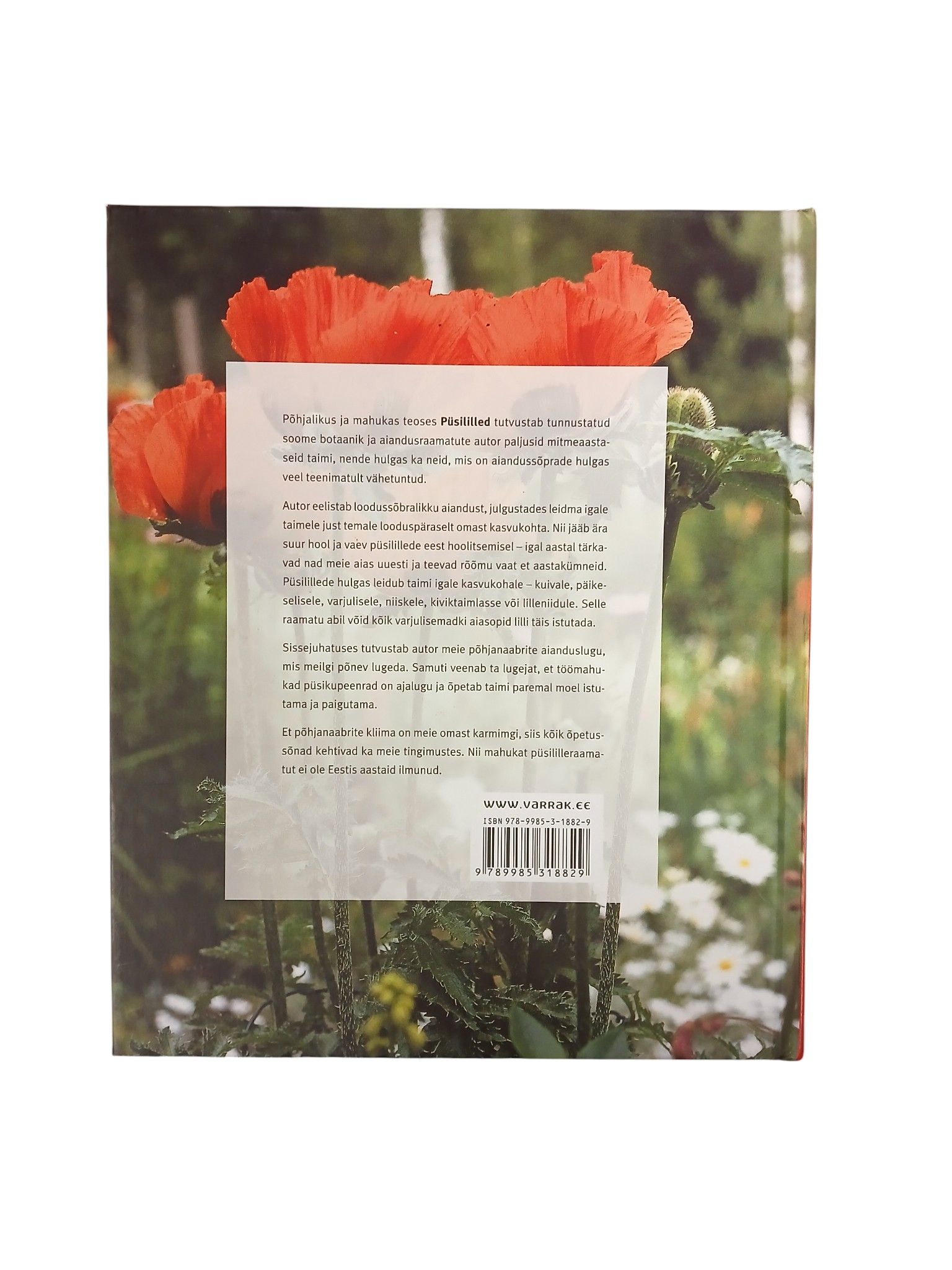 "Püsililled" Pentti Alanko - Image 2